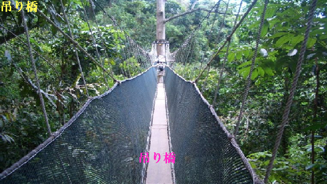 e0047322_20315560.png