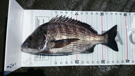 b0259124_09010390.jpg