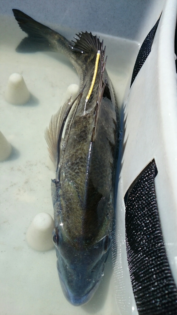 b0259124_09010659.jpg