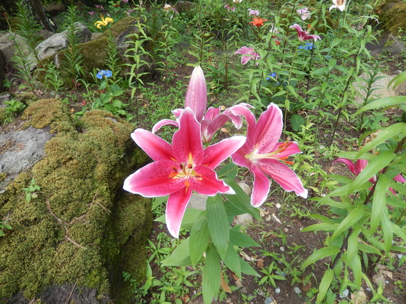 a0226627_2228869.jpg