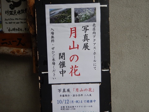 f0118332_22554232.jpg