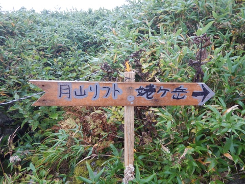 f0118332_2305824.jpg