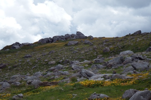 f0118332_23155081.jpg