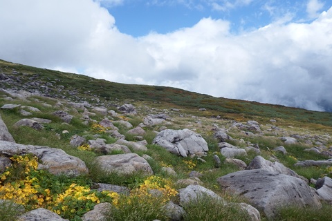 f0118332_2316201.jpg