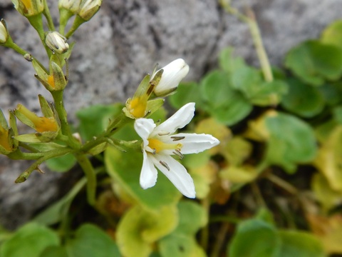 f0118332_23184921.jpg