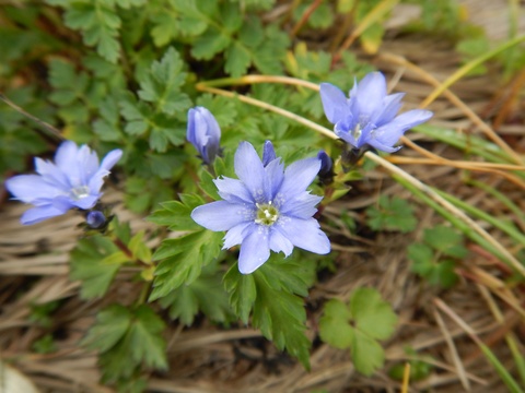 f0118332_23193757.jpg
