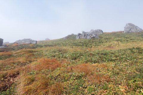 f0118332_23355623.jpg
