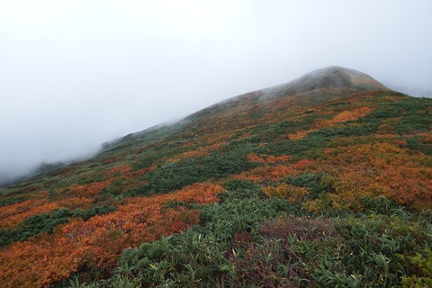 f0118332_23363697.jpg