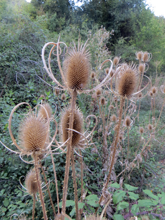 f0234936_784017.jpg