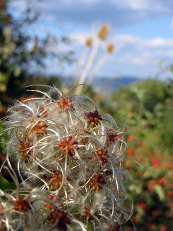 f0234936_78494.jpg
