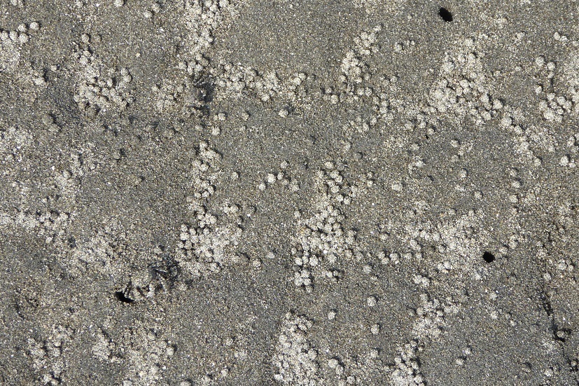 d0288144_21504803.jpg