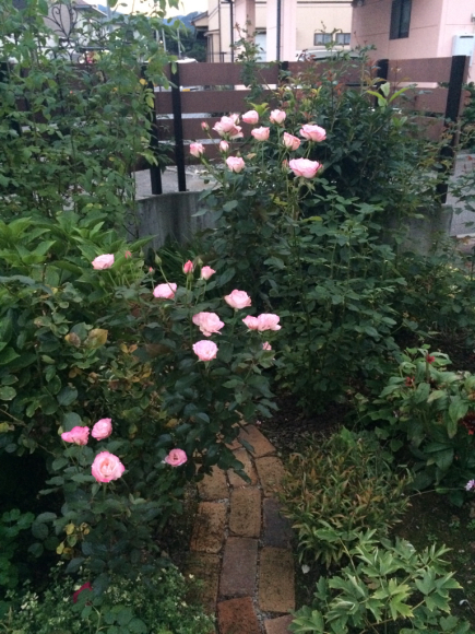c0359445_03264894.jpg