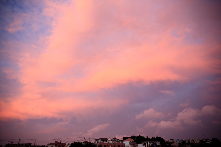 e0262257_21471903.jpg