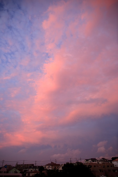 e0262257_21472805.jpg
