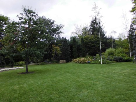 f0098562_2351497.jpg