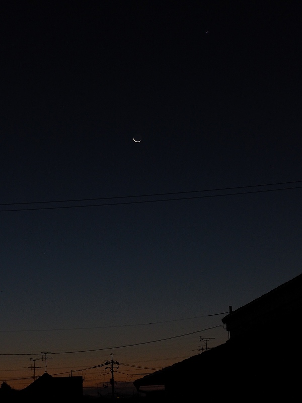 d0128465_844164.jpg