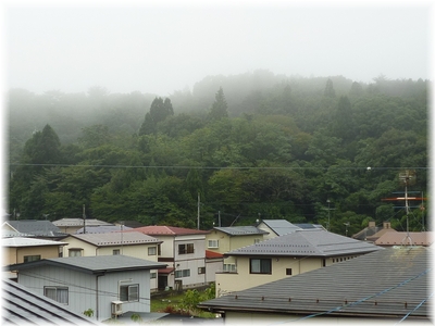 d0337265_2041056.jpg