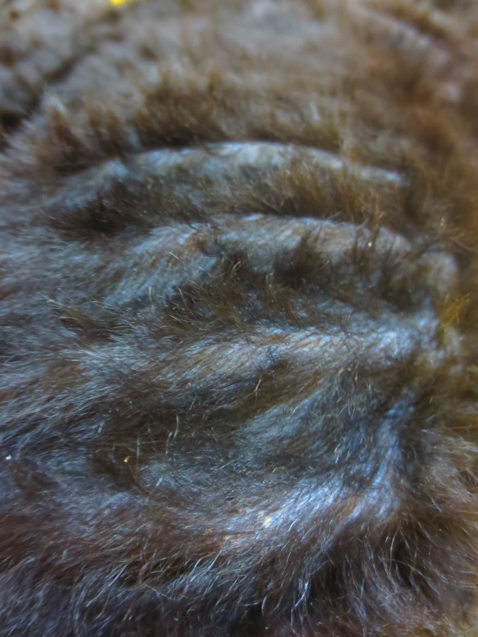 f0096569_7445344.jpg