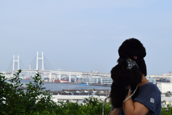 b0242873_22293440.jpg
