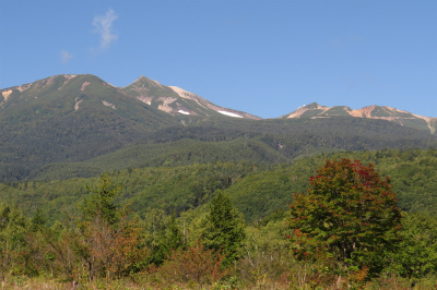 f0182173_20181952.jpg