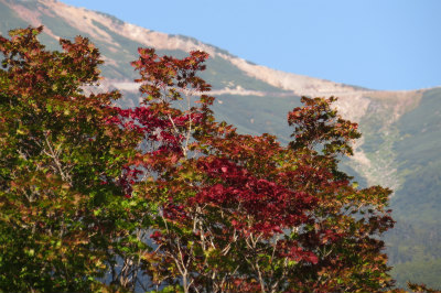 f0182173_20185646.jpg
