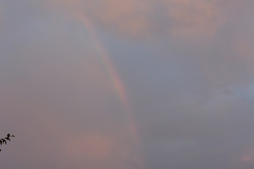 e0114977_2154141.jpg