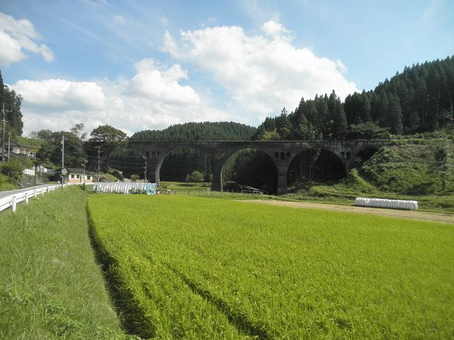 f0101679_105123.jpg