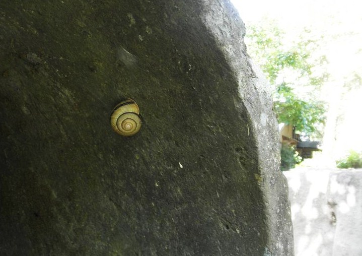 f0101679_9345617.jpg