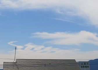 e0130185_1617254.jpg