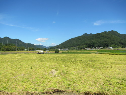a0251786_2095379.jpg