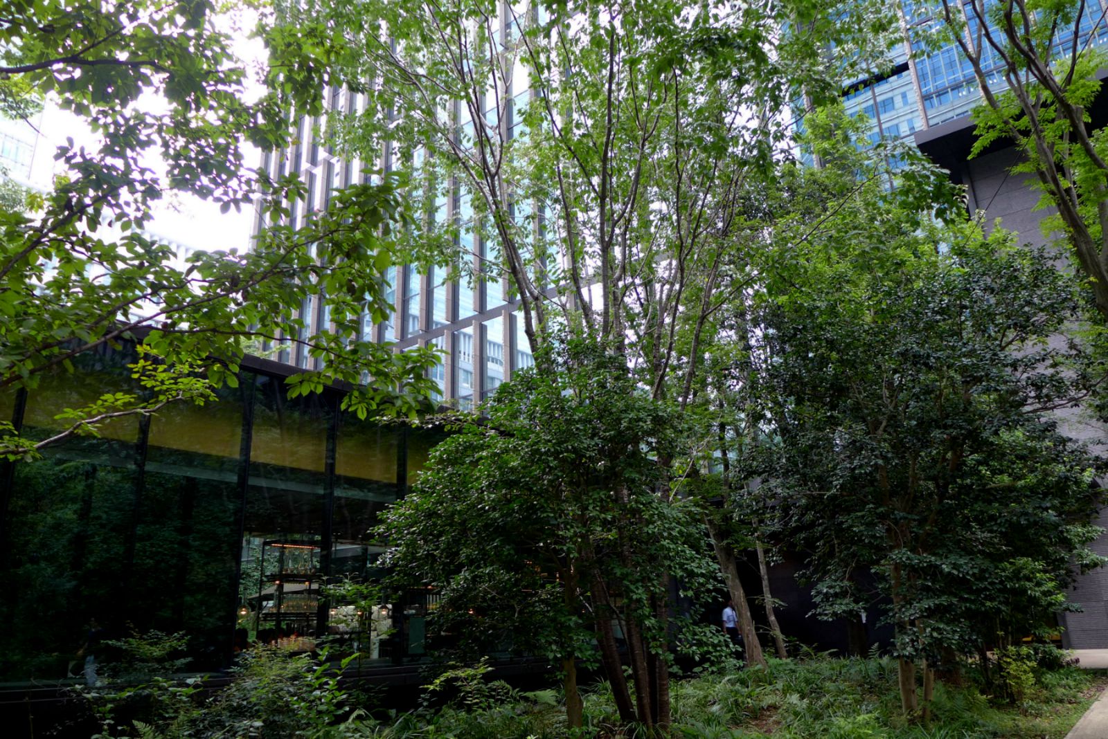 a0127090_217362.jpg
