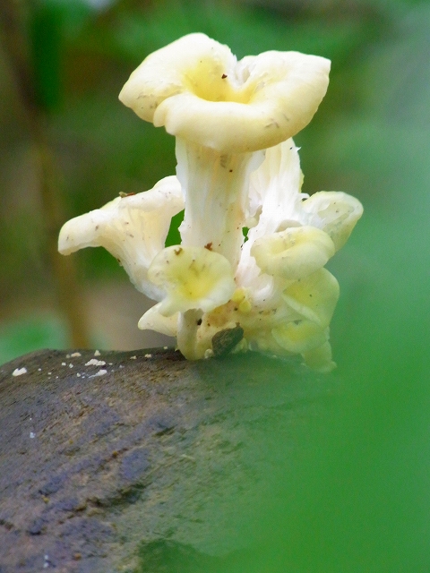f0157901_103445100.jpg