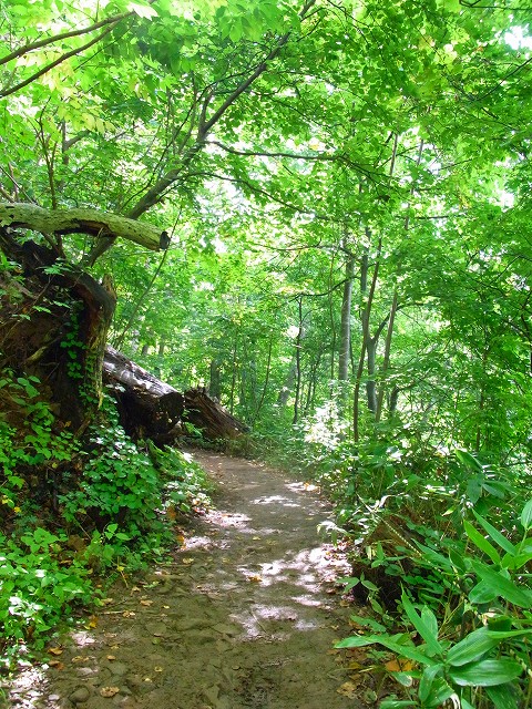 f0157901_1035811.jpg