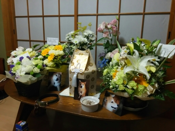 e0242804_23093446.jpg