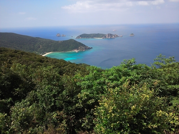 e0340710_19434597.jpg