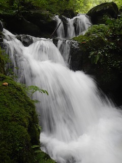 c0359615_19331356.jpg