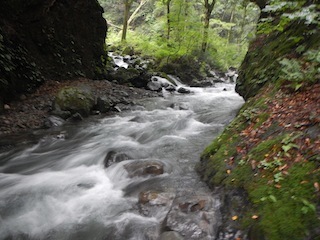 c0359615_19332560.jpg