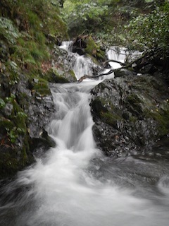 c0359615_19333567.jpg