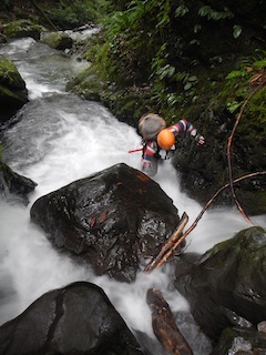 c0359615_19334788.jpg