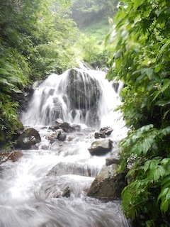 c0359615_19355329.jpg