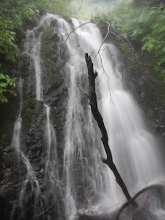c0359615_19361712.jpg