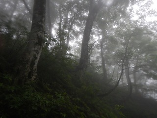 c0359615_19365492.jpg