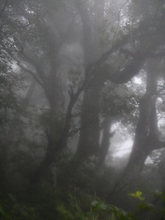 c0359615_19370491.jpg