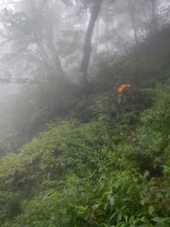 c0359615_19392361.jpg