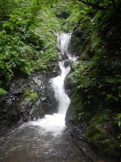 c0359615_19394728.jpg