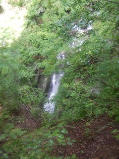 c0359615_19395827.jpg