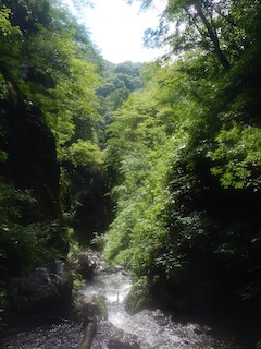 c0359615_19402526.jpg
