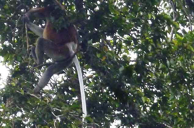 e0047322_13441371.jpg