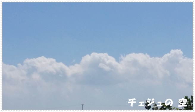 a0115924_20414467.jpg
