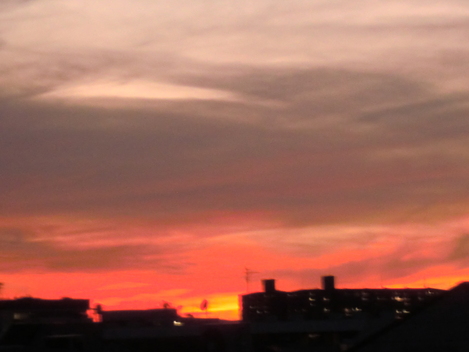c0236632_8295239.jpg